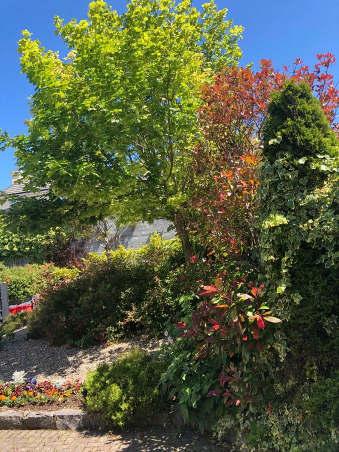 Bed and Breakfast Amber Heights Galway Esterno foto