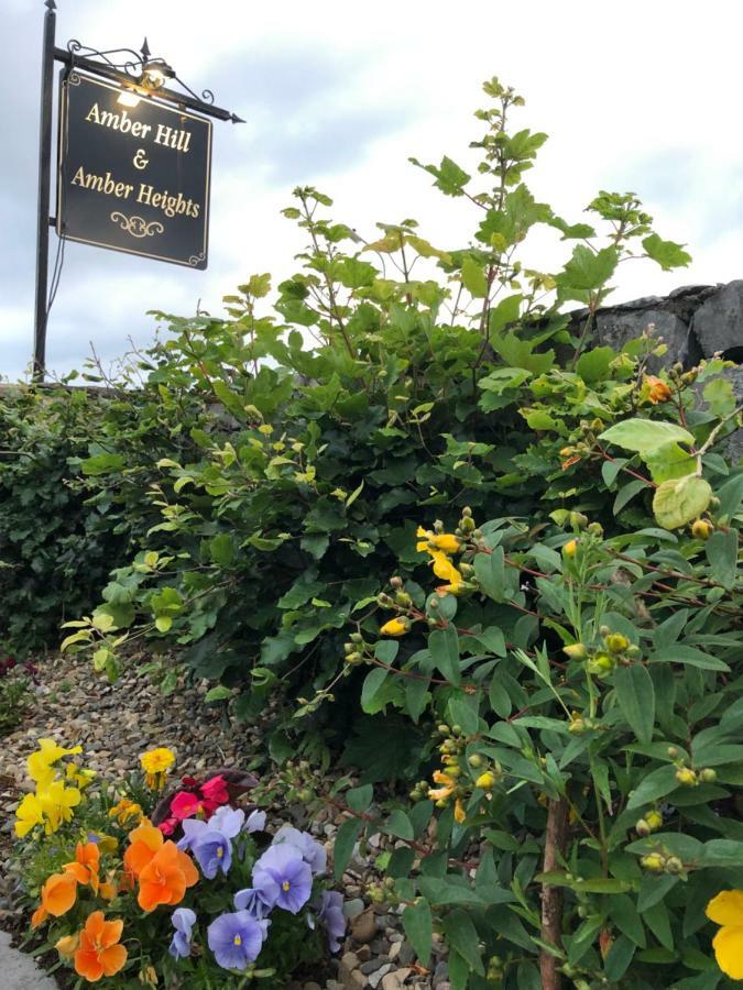 Bed and Breakfast Amber Heights Galway Esterno foto